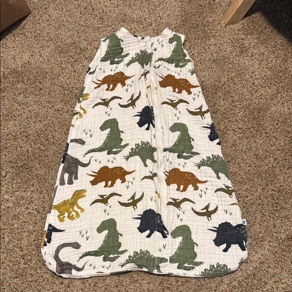 Dinosaur Sleep Sack - Picture 1 of 2